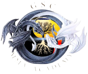 GSC MMA Academy
